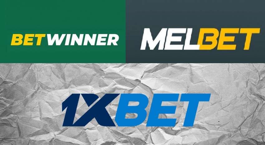 Experience the Thrill of Betting with Betwinner 31