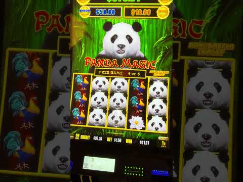 Experience the Excitement at Spinpanda Online Casino UK